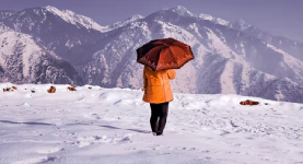 gallery-img